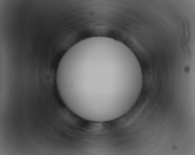 X0000102830083200809021323