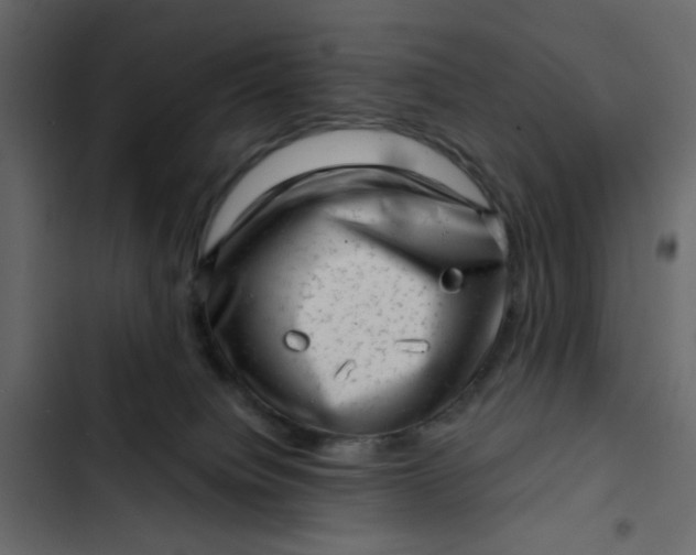 X0000102830084200809021323