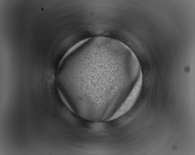 X0000102830085200809021323