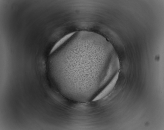 X0000102830086200809021323