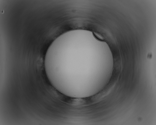 X0000102830087200809021323