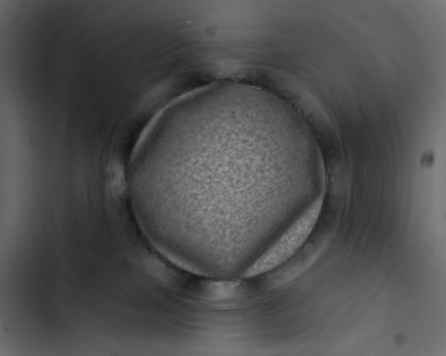 X0000102830089200809021323