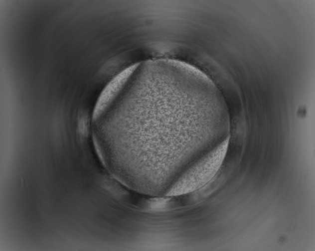 X0000102830090200809021323