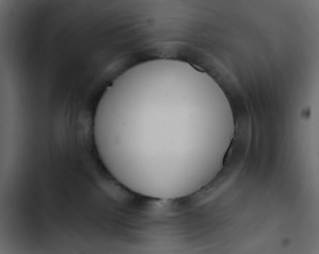 X0000102830092200809021323