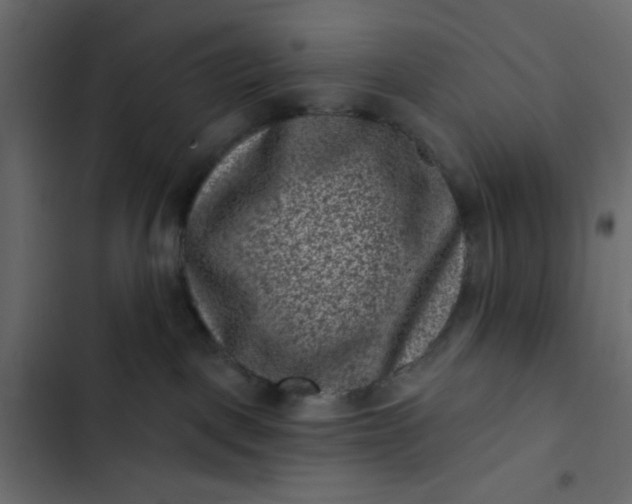 X0000102830093200809021323