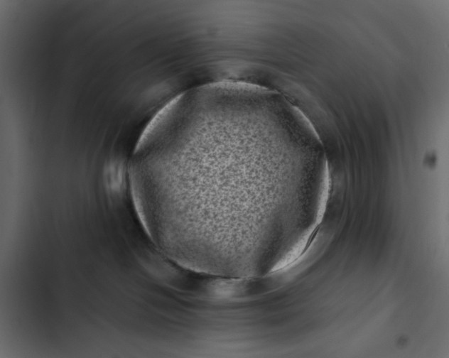 X0000102830094200809021323