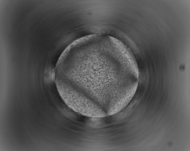 X0000102830095200809021323