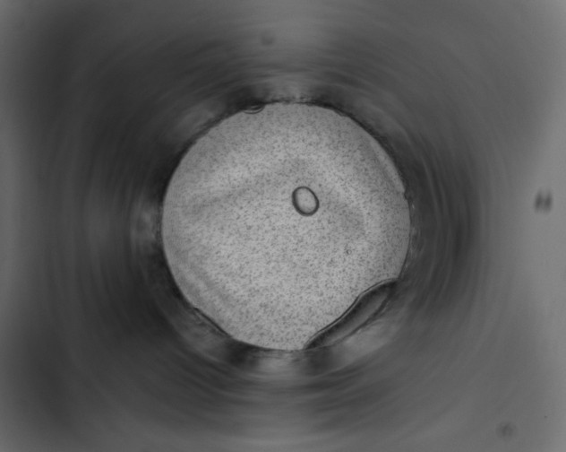 X0000102830096200809021323