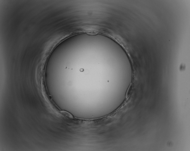 X0000102830097200809021322