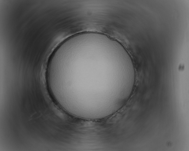 X0000102830098200809021322