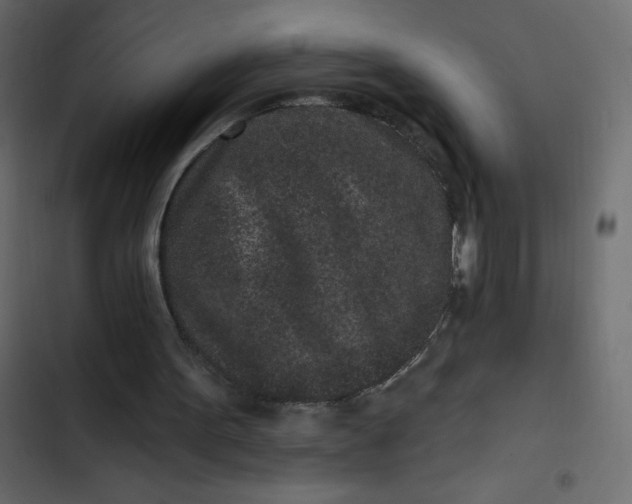 X0000102830099200809021322