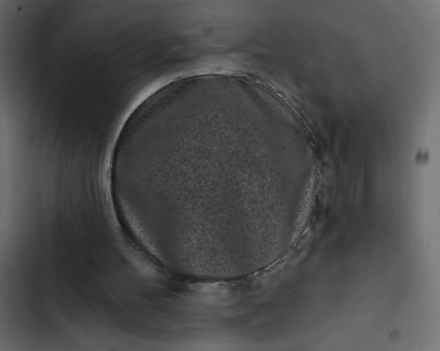 X0000102830100200809021322