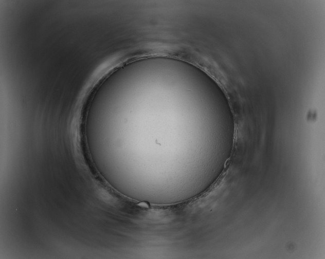 X0000102830101200809021322