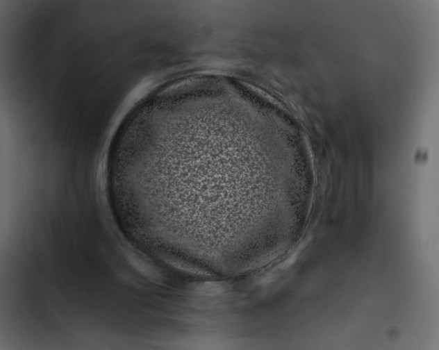 X0000102830102200809021322