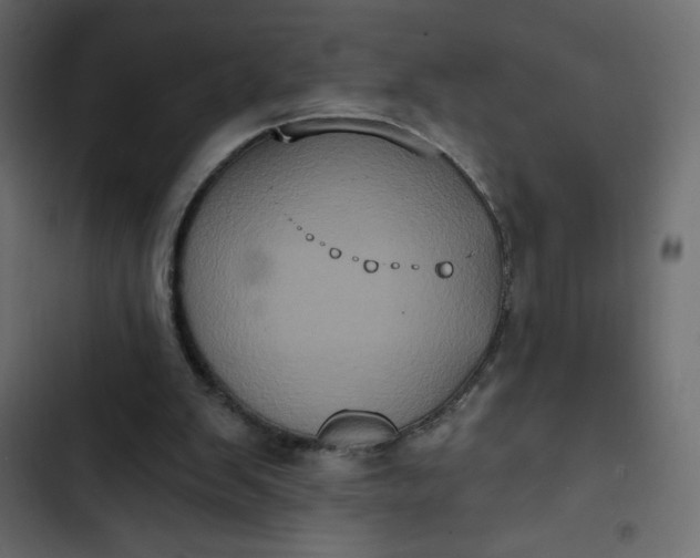 X0000102830103200809021322