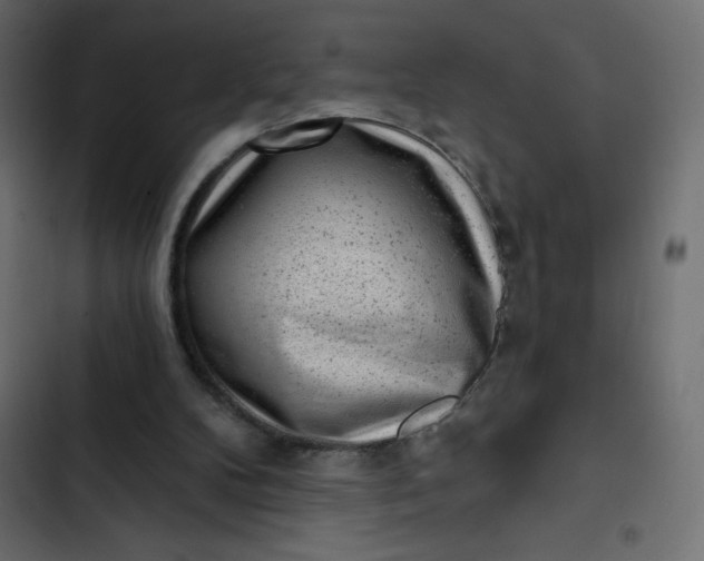 X0000102830104200809021322