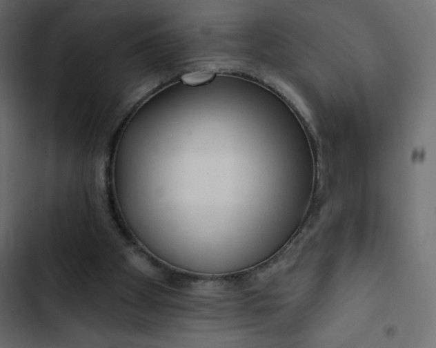 X0000102830105200809021322