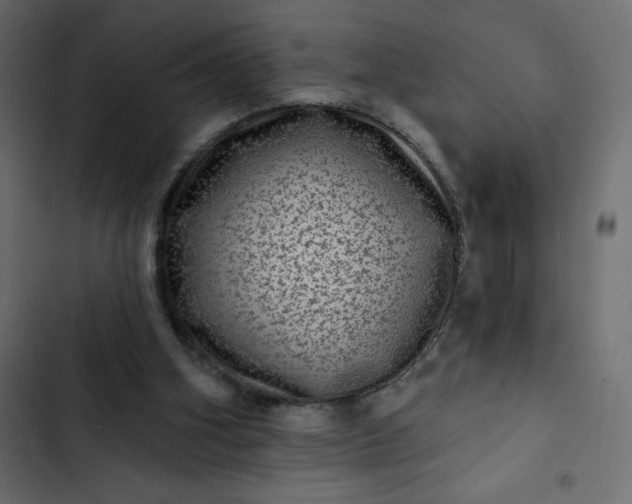 X0000102830106200809021322