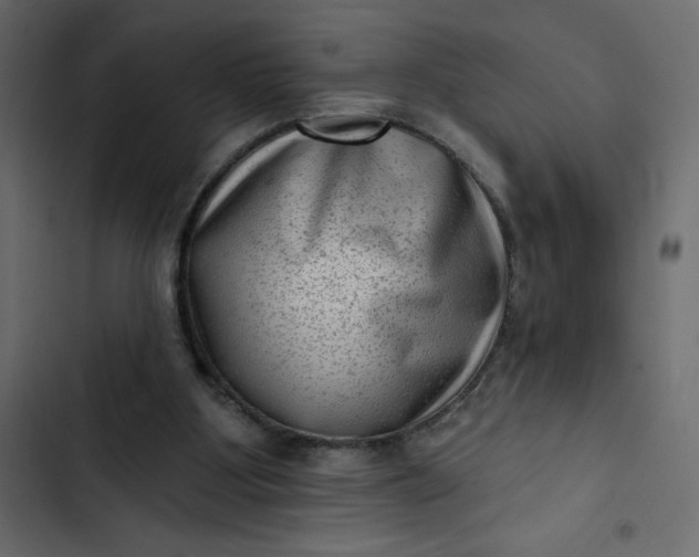 X0000102830107200809021322