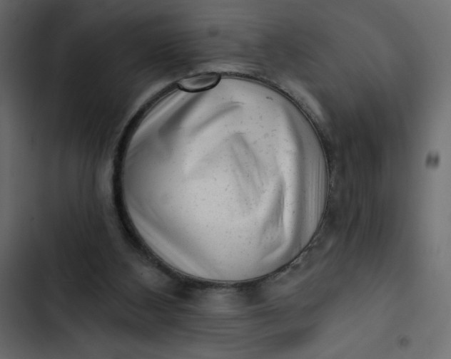 X0000102830108200809021322