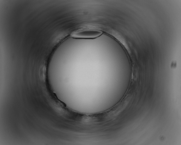 X0000102830109200809021322