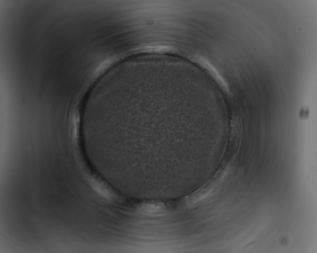 X0000102830110200809021322