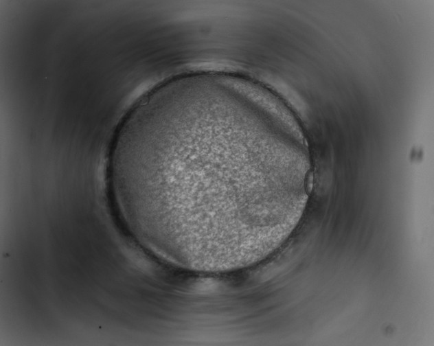 X0000102830111200809021322