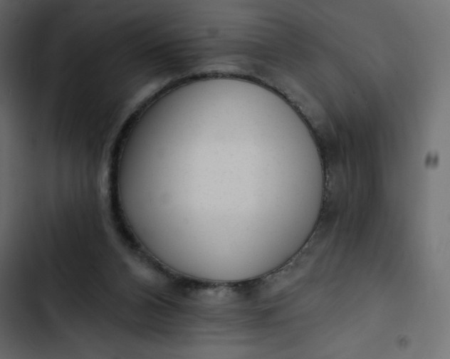 X0000102830112200809021322