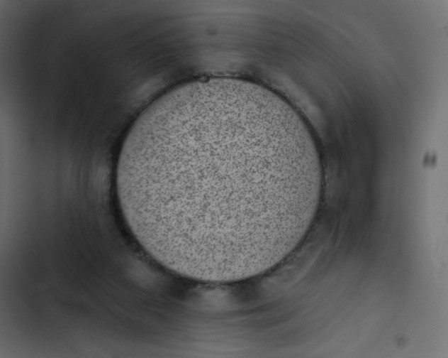 X0000102830113200809021322