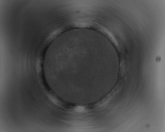 X0000102830114200809021322