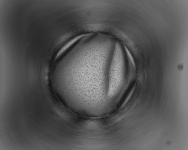 X0000102830115200809021322