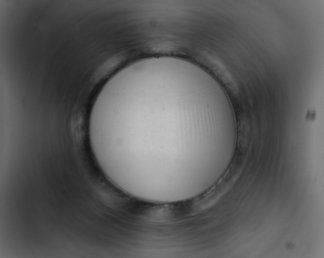 X0000102830116200809021322