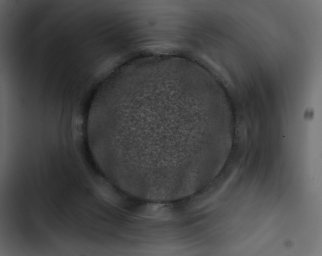 X0000102830117200809021322