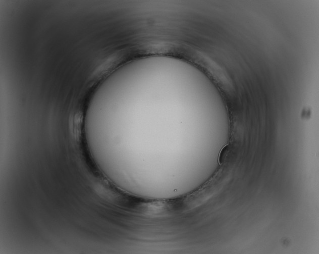 X0000102830118200809021322