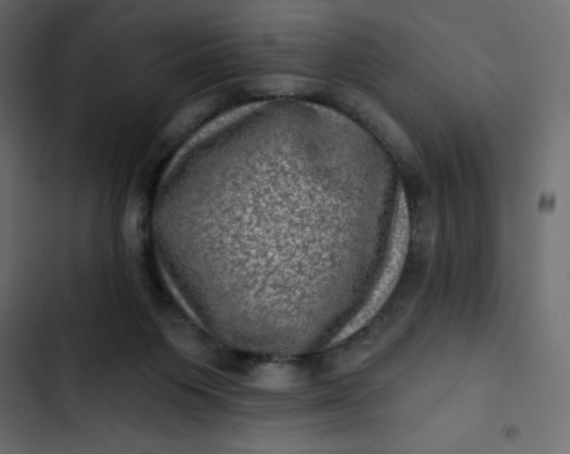 X0000102830119200809021322