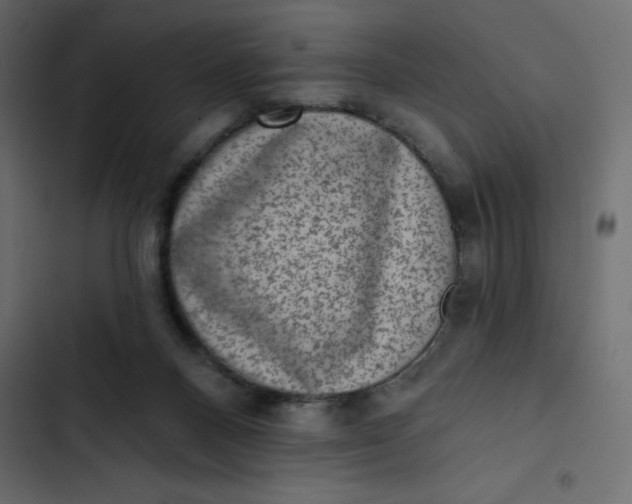 X0000102830120200809021322