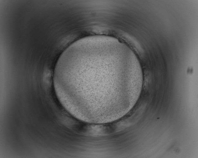 X0000102830121200809021322