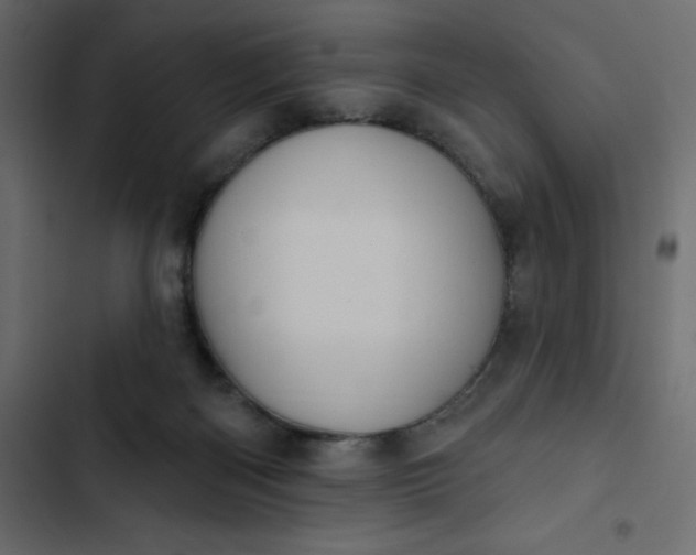 X0000102830122200809021322