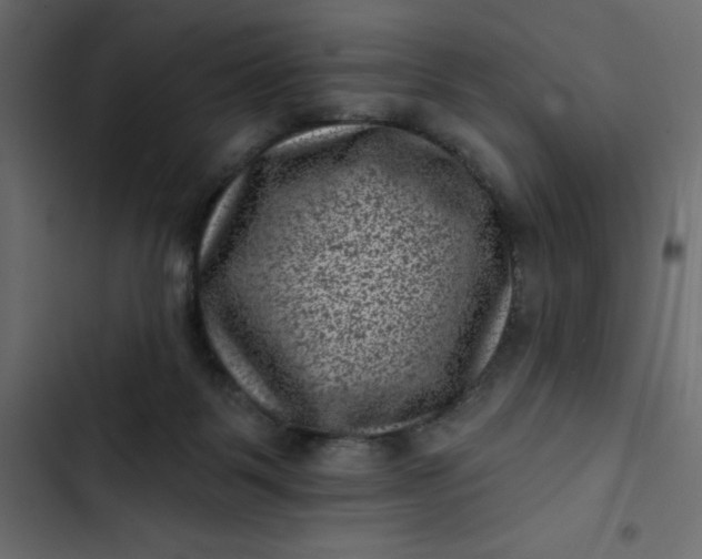 X0000102830123200809021322