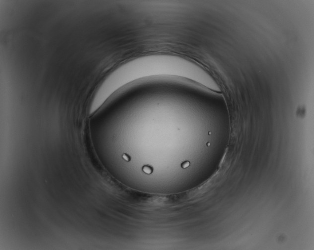 X0000102830124200809021322