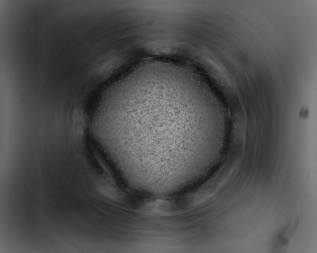 X0000102830125200809021322