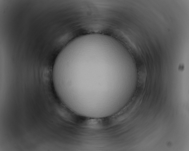 X0000102830126200809021322