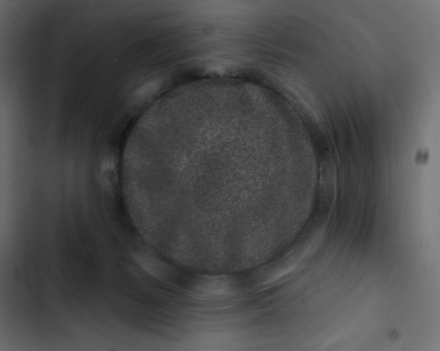 X0000102830127200809021322