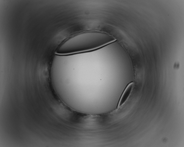 X0000102830128200809021322