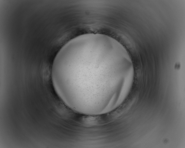 X0000102830129200809021322