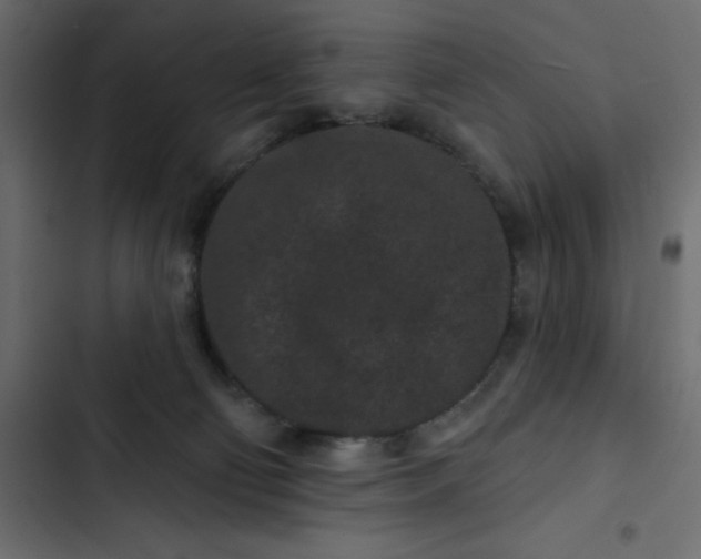 X0000102830130200809021322