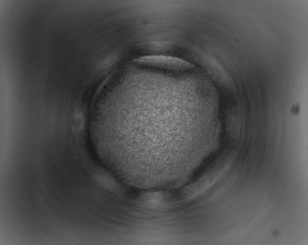 X0000102830131200809021322