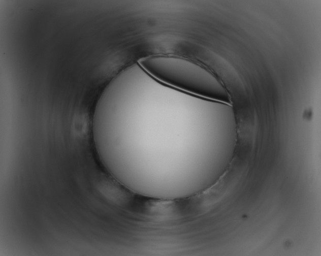 X0000102830132200809021322