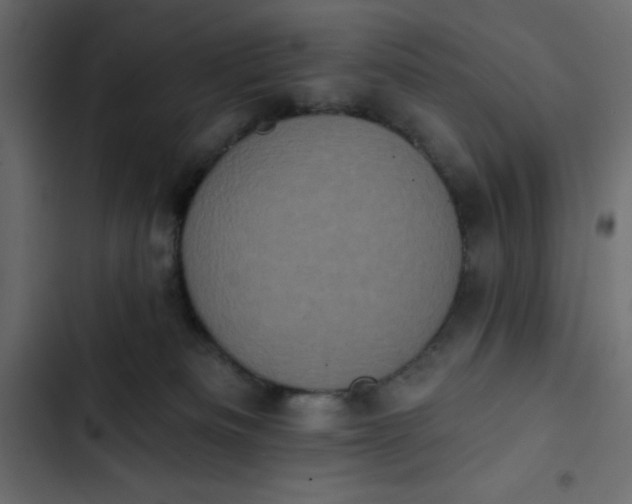 X0000102830133200809021322