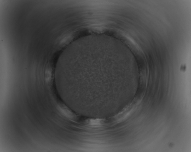 X0000102830134200809021322